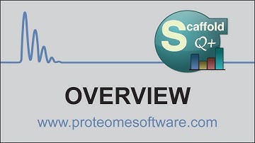 Introduction to Scaffold Q+