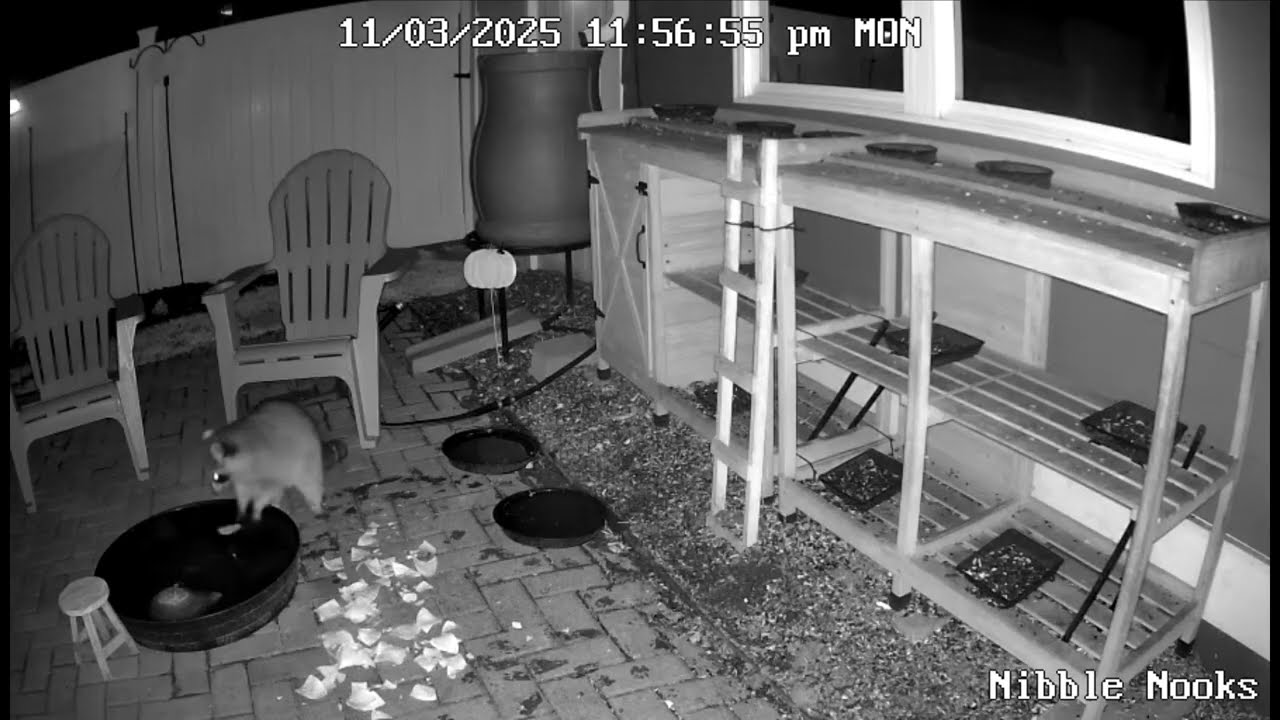 209 - CRUNCHIN WITH THE MUNCHKINS