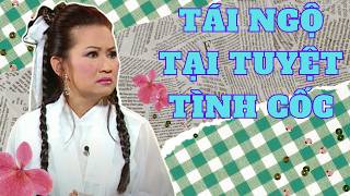 Hồng Đào dở khóc dở cười khi gặp lại "oan gia" Quang Minh chốn thâm sơn - Tái Ngộ Tại Tuyệt Tình Cốc