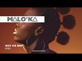 Into The Deep 20 Afro House Mix 2025