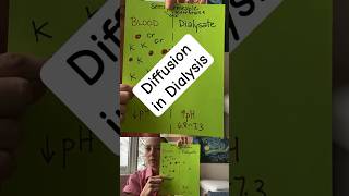 Dive Into The Fascinating World Of Dialysis Diffusion