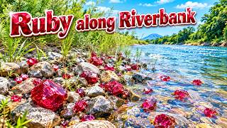 ត្បូងក្រហមសម្បូរណាស់តាមមាត់ស្ទឹង(Ruby Along Riverbank)