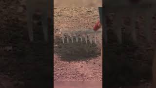 The most satisfying video you’ll see this week 😮 💨