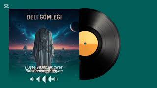 Deli Gömleği Resimi