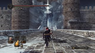 Invisible Aava NG+8 kill (no eye of the priestess) with photo finish! Slvl 160