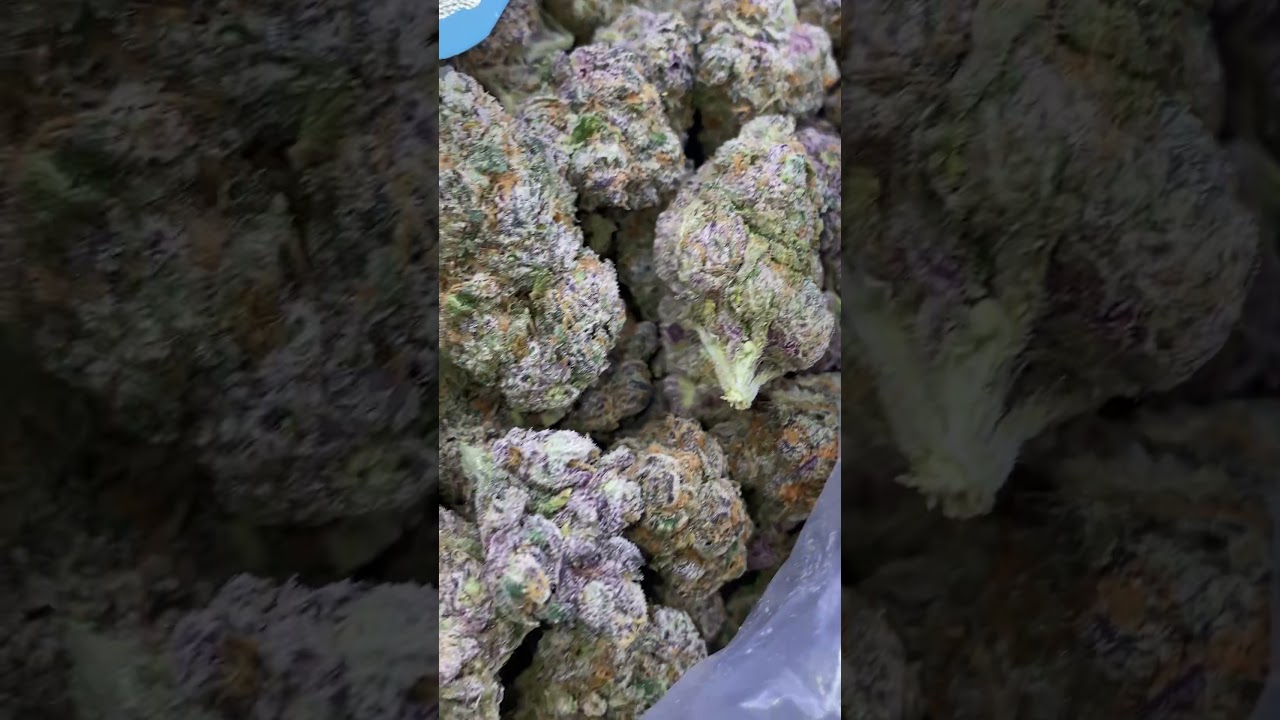 HAUPIA STRAIN! By SHOPPING CARTS 415 