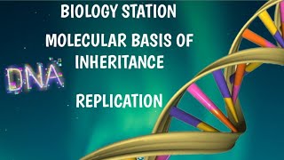 CHAPTER 7 - DNA REPLICATION || MOLECULAR BASIS OF INHERITANCE