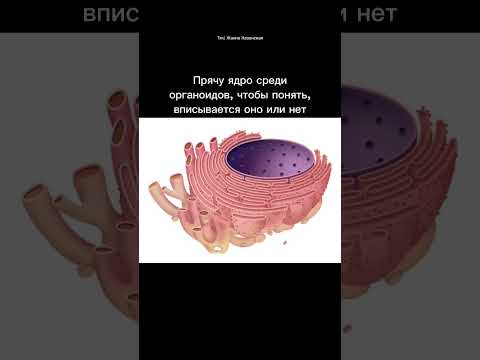 Органоиды #егэ #биология #медвузы #химбио #тренд