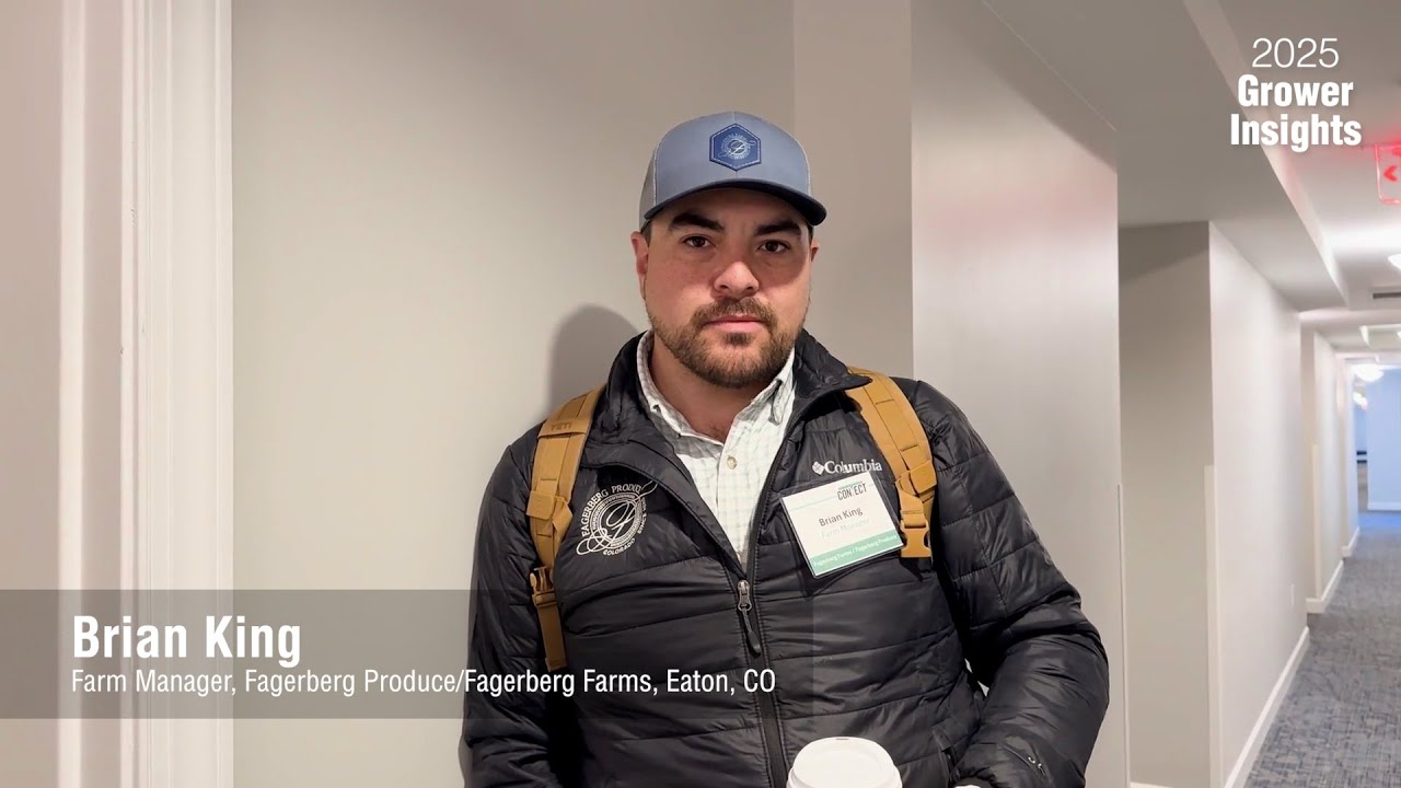 Navigating Challenges and Embracing Innovation