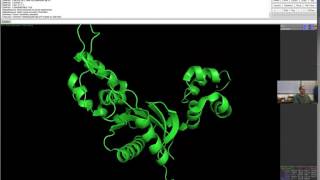 Pymol demo