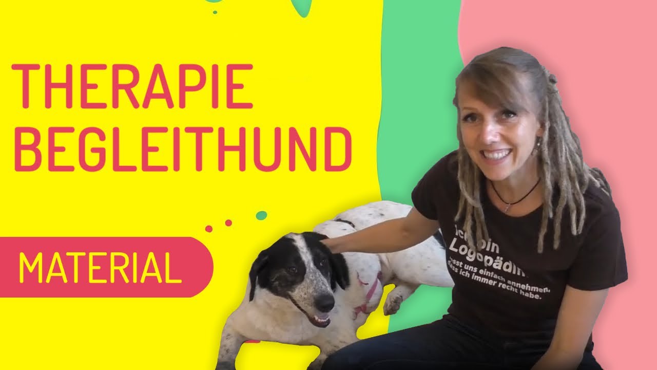 New Update Teil 1 #Therapiebegleithund: Das Material