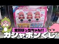 ぼっちちゃんのビッグサイズフィギュアが当たる!ガシャポンくじ ぼっち・ざ・ろっく! ぼっちだらけあそーと 回してみた