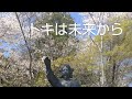 カタカムナの聖地「保久良神社」春
