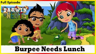 Darwin & Newts | Burpee Needs Lunch | Session 01 | Full Episode 05