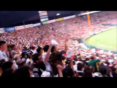 オールスター2014　セ・リーグファンによるパ・リーグの応援+カープスクワット応援20140719甲子園球場
