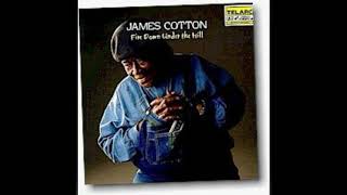 James Cotton -  Cotton jump boogie