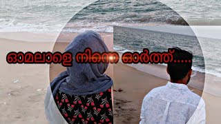 omalaale ninne orth /cover sng/naseela