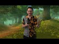 Middle of video