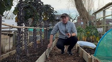 Rondleiding door de moestuin in december en de oogst, nu ik me klaarmaak voor Kerstmis.
