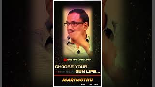 Boys No One And Choose Your Own Life