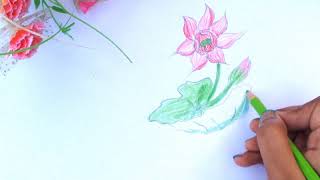 How To Draw A Lotus Flower Step By Step Drawify