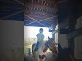 #horses4life #horse #equestrian