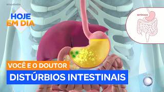 Você E O Doutor: Entenda As Causas, Os Sintomas E Como Prevenir Os Distúrbios Intestinais