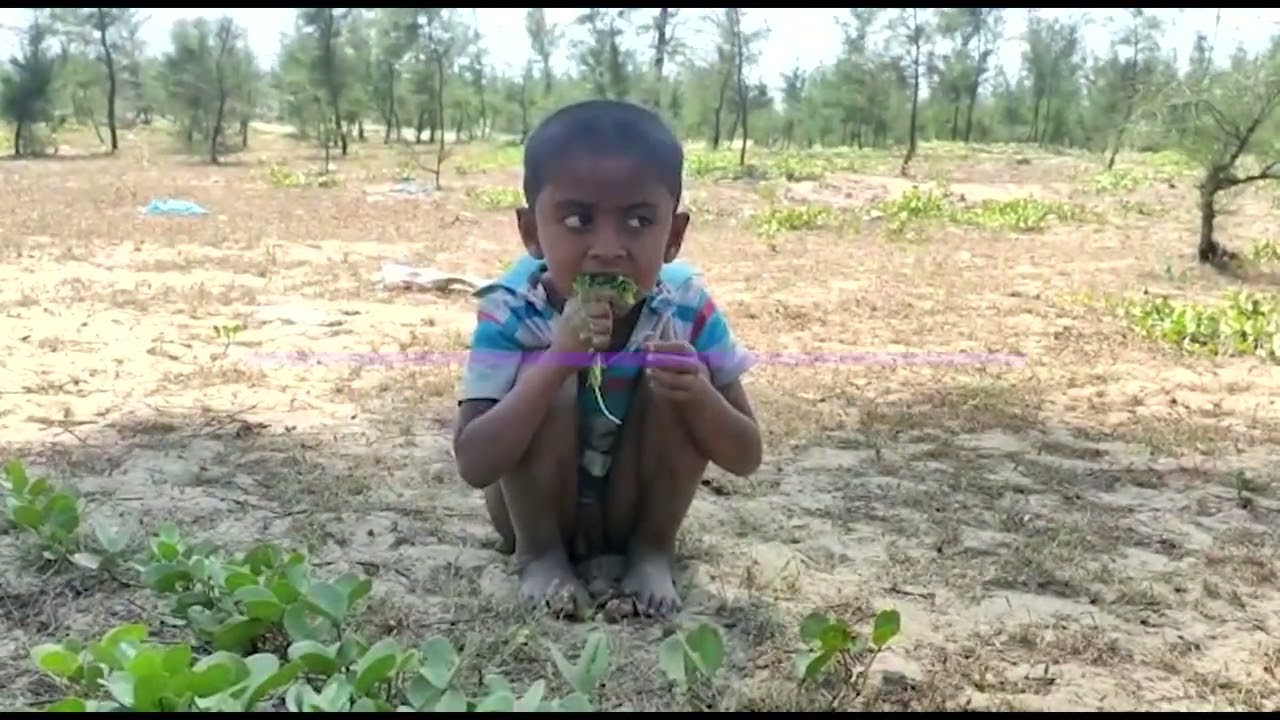 Rohingyan Child Eats Grass Out Of Hunger | THE REALITY | Ramadan 2022