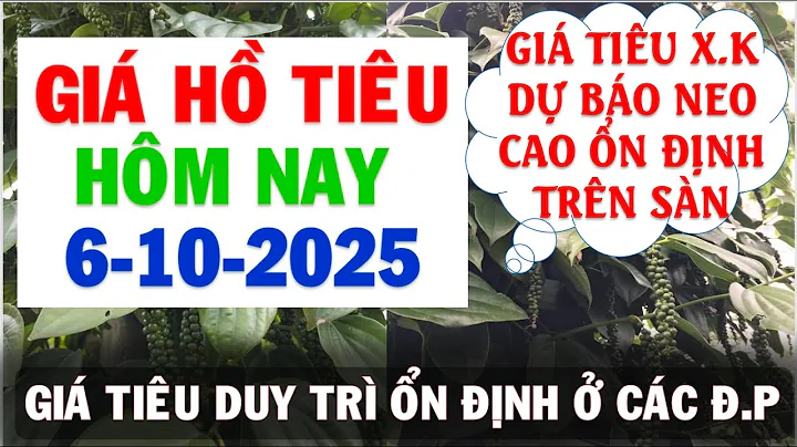 Giá Hồ tiêu hôm nay ngày 6/10/2025|Giá tiêu có còn yếu tố nào kéo giá tăng?