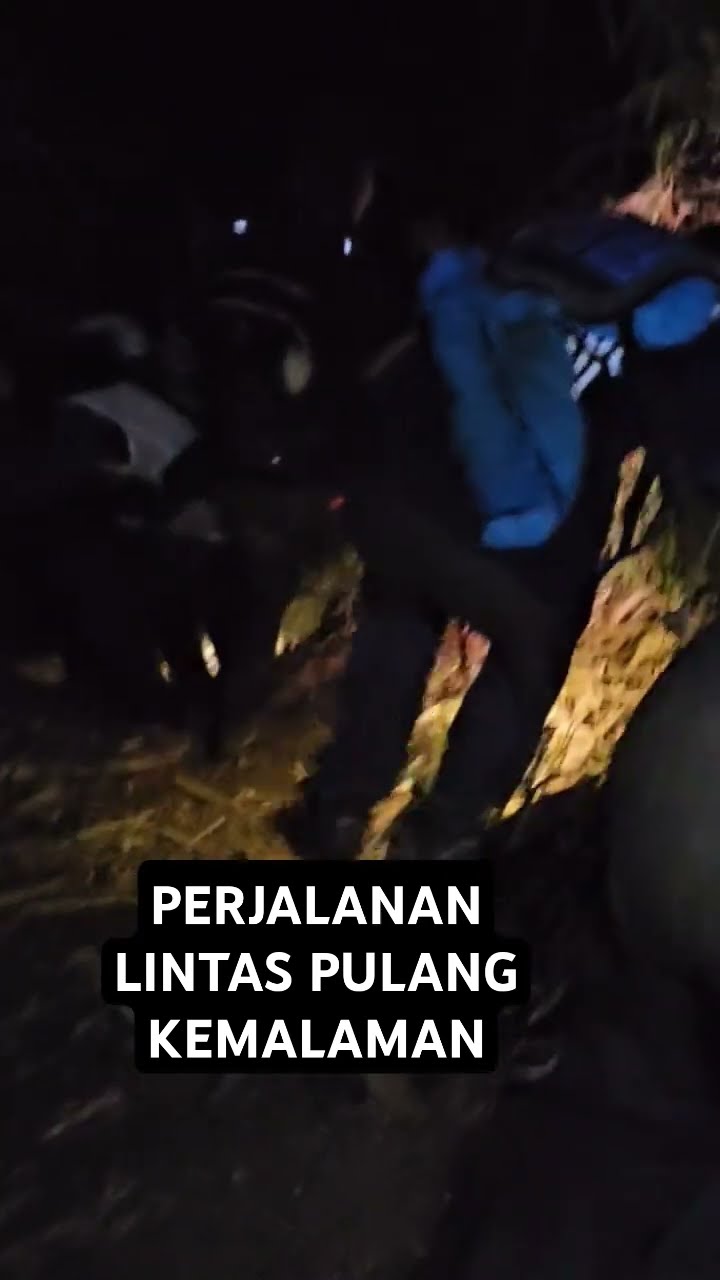 Licin Medan Jalan Habis Hujan