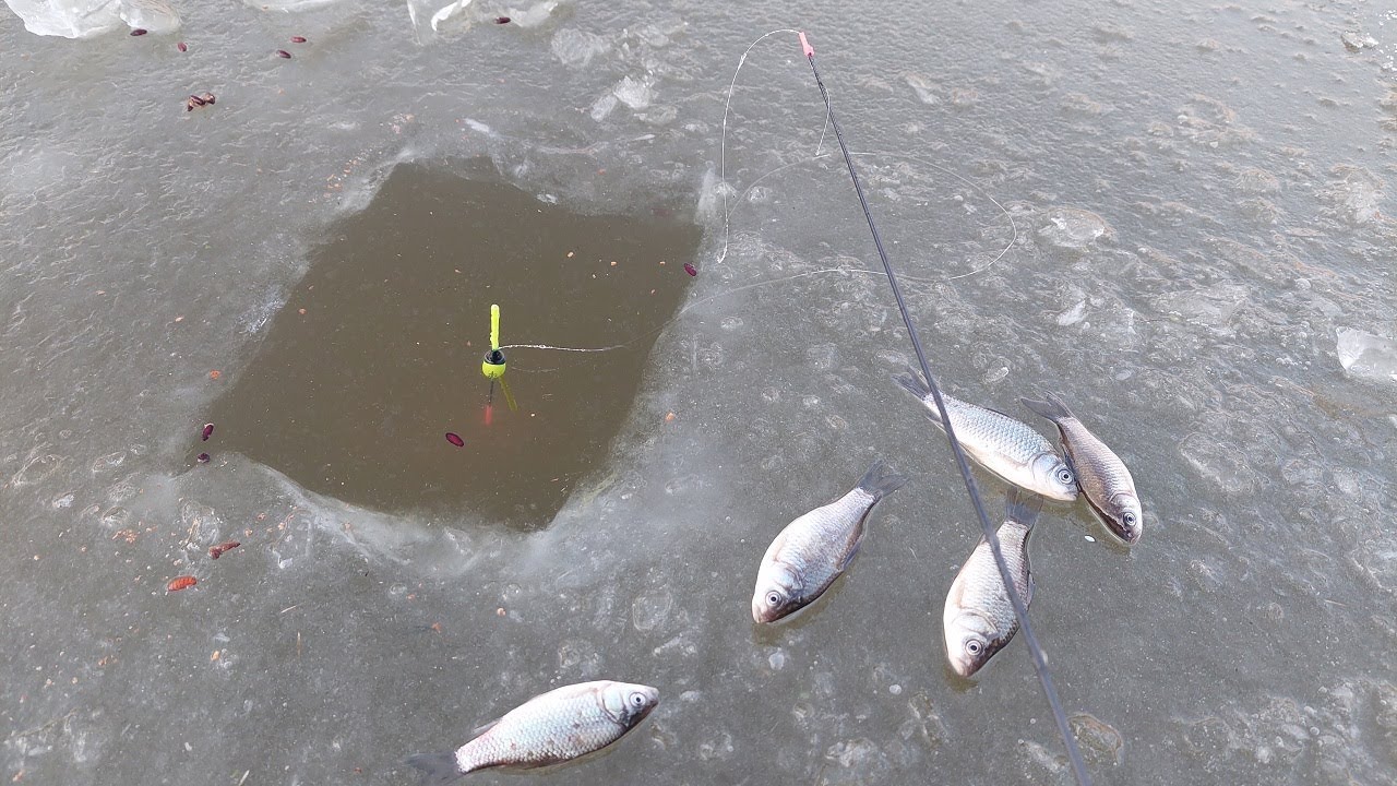 O Cărășeală frumoasă la copcă