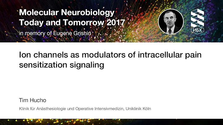 Ion channels as modulators of intracellular pain sensitization signaling