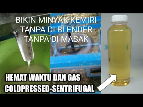 Membuat Minyak Kemiri Untuk Bayi