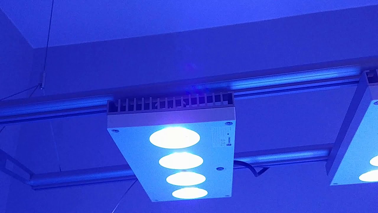 AquaIllumination Hydra 64HD 730L reef aquarium YouTube