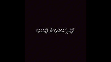 تلاوة ما تيسر من سورة الجاثية بصوت جميل للقارئ الشيخ ماهر المعيقلي🤍🎧