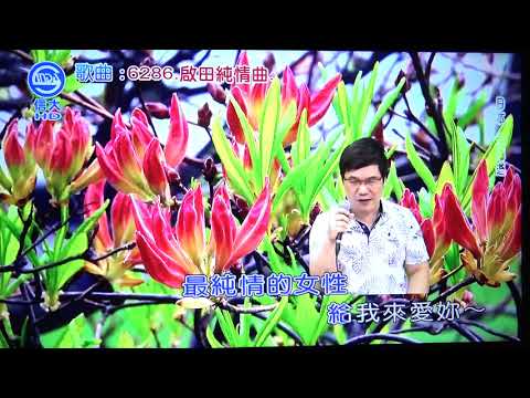 世賢 啟田純情曲(葉啟田)109/10/04