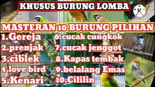 MASTERAN SUARA BURUNG PILIHAN COCOK UNTUK BURUNG LAPANGAN