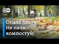 Опале листя: які альтернативи спалюванню | DW Ukrainian