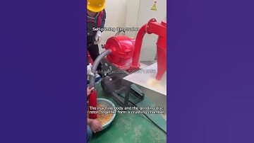 Self priming disc crusher