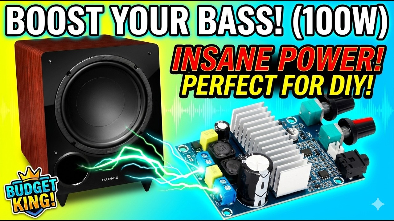 Bewinner High Power Digitale Subwoofer Versterker Module 100W