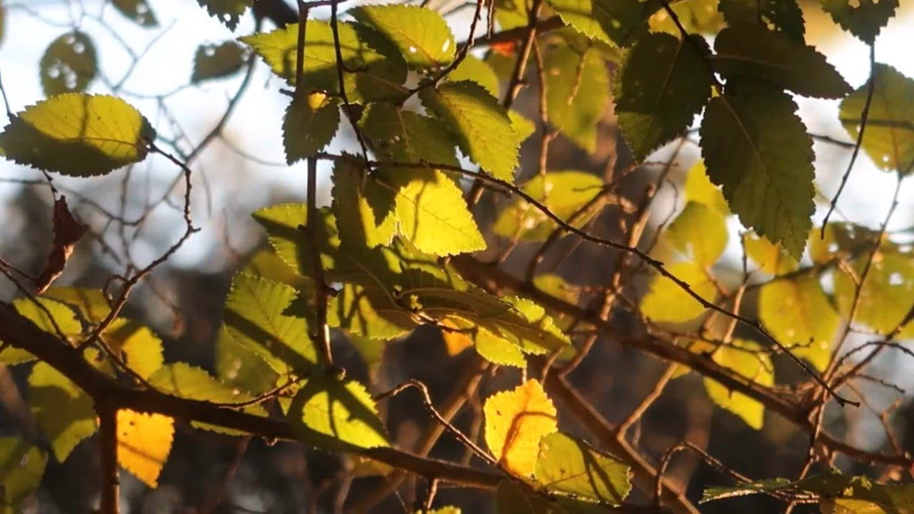 Una mañana conmigo hablando de corazón a corazón