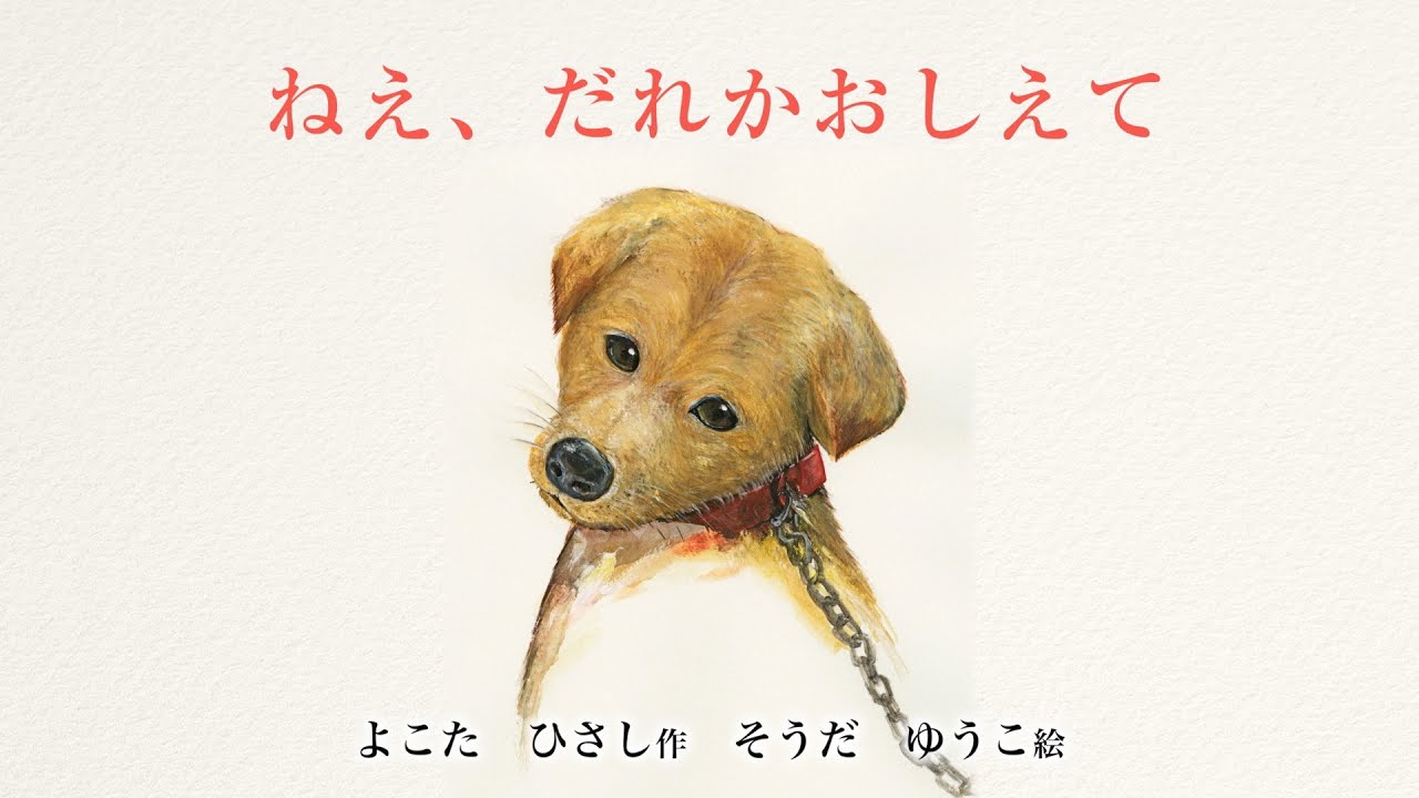 朗読 絵本 ねぇ だれかおしえて フジコ ヘミング Youtube