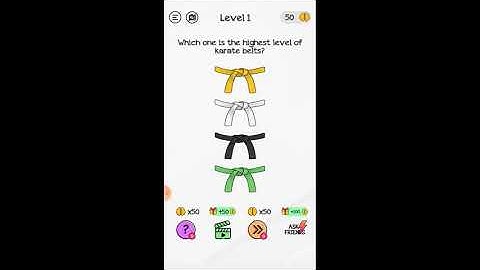 Braindom level 1: which one is the highest level of karate belts?