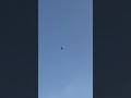 F22 fly by #aviation #rcplane #f22raptor #f22fighterjet #fighterjet #jet #shorts