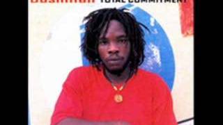 Bushman - Fire Bun A Weak heart chords