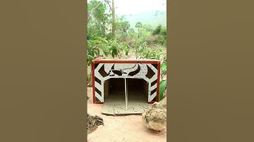 Easy Creative DIY Quail Trap #shorts #create #traps