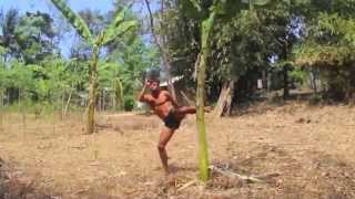 Muay Thai Vs Banana Tree