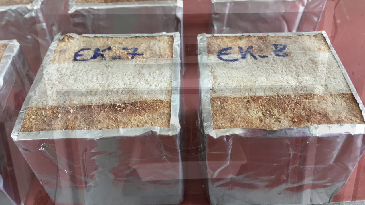 Testing Bricks in the Lab