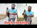 താറാവിനെ എളുപ്പം എങ്ങനെ ക്ളീൻ ചെയ്യാം | duck cleaning | zayan flavour