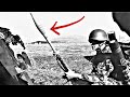 Swiss flying carrots stgw 57 rifle grenade supercut wsubtitles